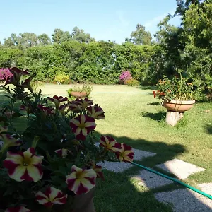 Nel Giardino In Fiore Olia Speciosa